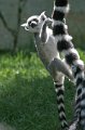 Zoo Straubing_013